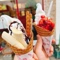 実際訪問したユーザーが直接撮影して投稿した和白アイスクリーム北キツネの大好物 和白店の写真
