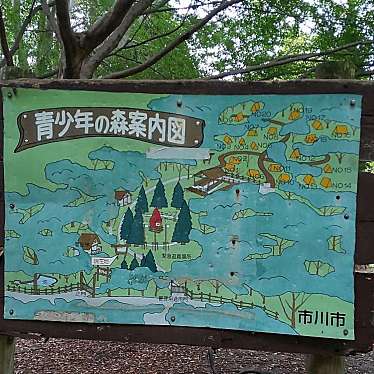 実際訪問したユーザーが直接撮影して投稿した柏井町公園青少年の森の写真