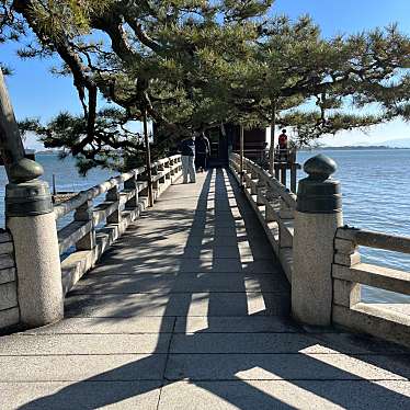 実際訪問したユーザーが直接撮影して投稿した地域名所浮御堂の松の写真