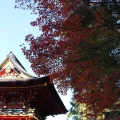 実際訪問したユーザーが直接撮影して投稿した明大寺町神社六所神社の写真