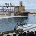 実際訪問したユーザーが直接撮影して投稿した瀬戸水族館 / アクアリウム城崎マリンワールドの写真