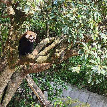 宮崎市 フェニックス自然動物園のundefinedに実際訪問訪問したユーザーunknownさんが新しく投稿した新着口コミの写真