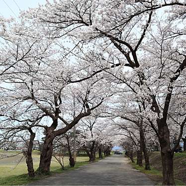 村松公園のundefinedに実際訪問訪問したユーザーunknownさんが新しく投稿した新着口コミの写真