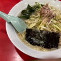 ネギラーメン - 実際訪問したユーザーが直接撮影して投稿した印内町ラーメン専門店かいざん 西船橋店の写真のメニュー情報