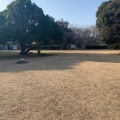 実際訪問したユーザーが直接撮影して投稿した明石公園城 / 城跡明石城 本丸跡の写真