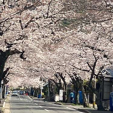 安部山公園のundefinedに実際訪問訪問したユーザーunknownさんが新しく投稿した新着口コミの写真