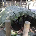 実際訪問したユーザーが直接撮影して投稿した志賀島神社志賀海神社の写真