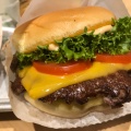 Shack burger - 実際訪問したユーザーが直接撮影して投稿した元竹田町ハンバーガーシェイクシャック 京都四条烏丸店の写真のメニュー情報