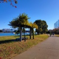 実際訪問したユーザーが直接撮影して投稿した平和島公園平和島公園の写真