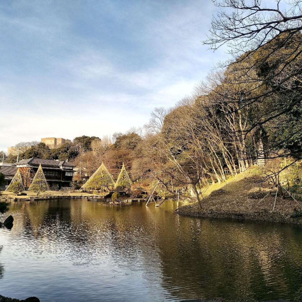 実際訪問したユーザーが直接撮影して投稿した目白台湖沼 / 池大池(肥後細川庭園)の写真