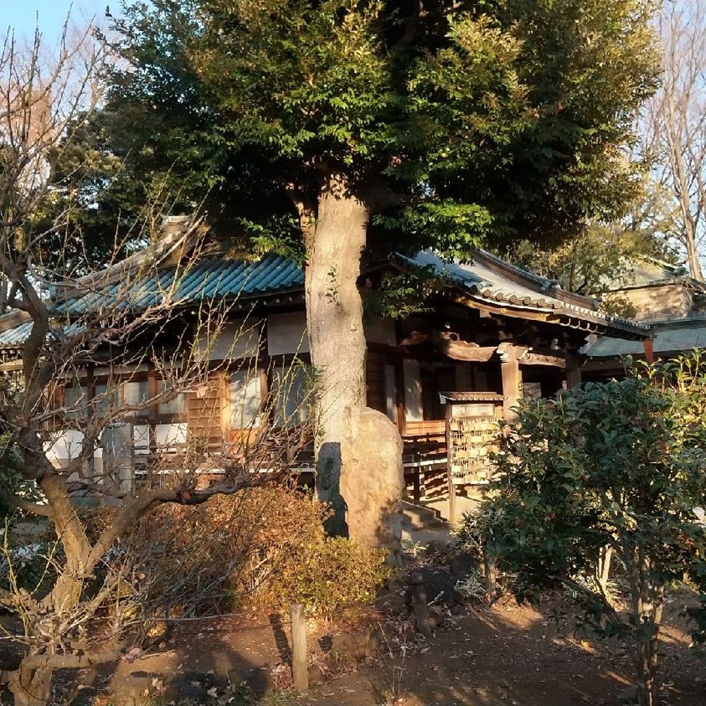 実際訪問したユーザーが直接撮影して投稿した堀ノ内寺日朝堂の写真