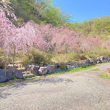 実際訪問したユーザーが直接撮影して投稿した末吉公園高山右近記念公園の写真