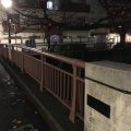 実際訪問したユーザーが直接撮影して投稿した上目黒橋目黒川 桜橋の写真