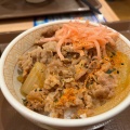 牛丼ミニ - 実際訪問したユーザーが直接撮影して投稿した木月牛丼すき家 川崎木月店の写真のメニュー情報