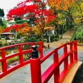 実際訪問したユーザーが直接撮影して投稿した弥彦公園弥彦公園の写真