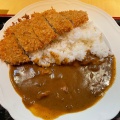 カツカレー - 実際訪問したユーザーが直接撮影して投稿した南篠崎町とんかつとんかつ・串揚げ 冨岳の写真のメニュー情報