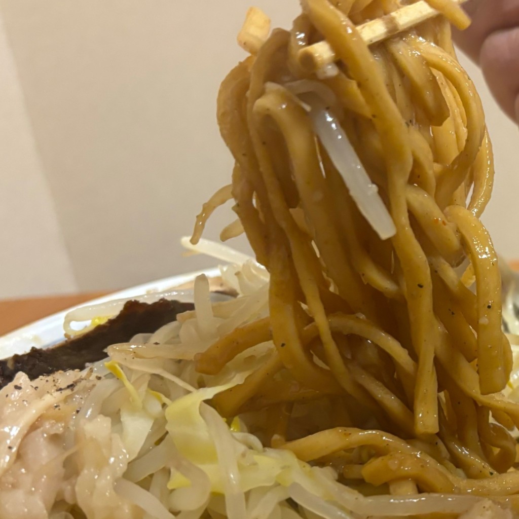 ユーザーが投稿したラーメン(汁無し)の写真 - 実際訪問したユーザーが直接撮影して投稿した中田ラーメン / つけ麺成りとの写真