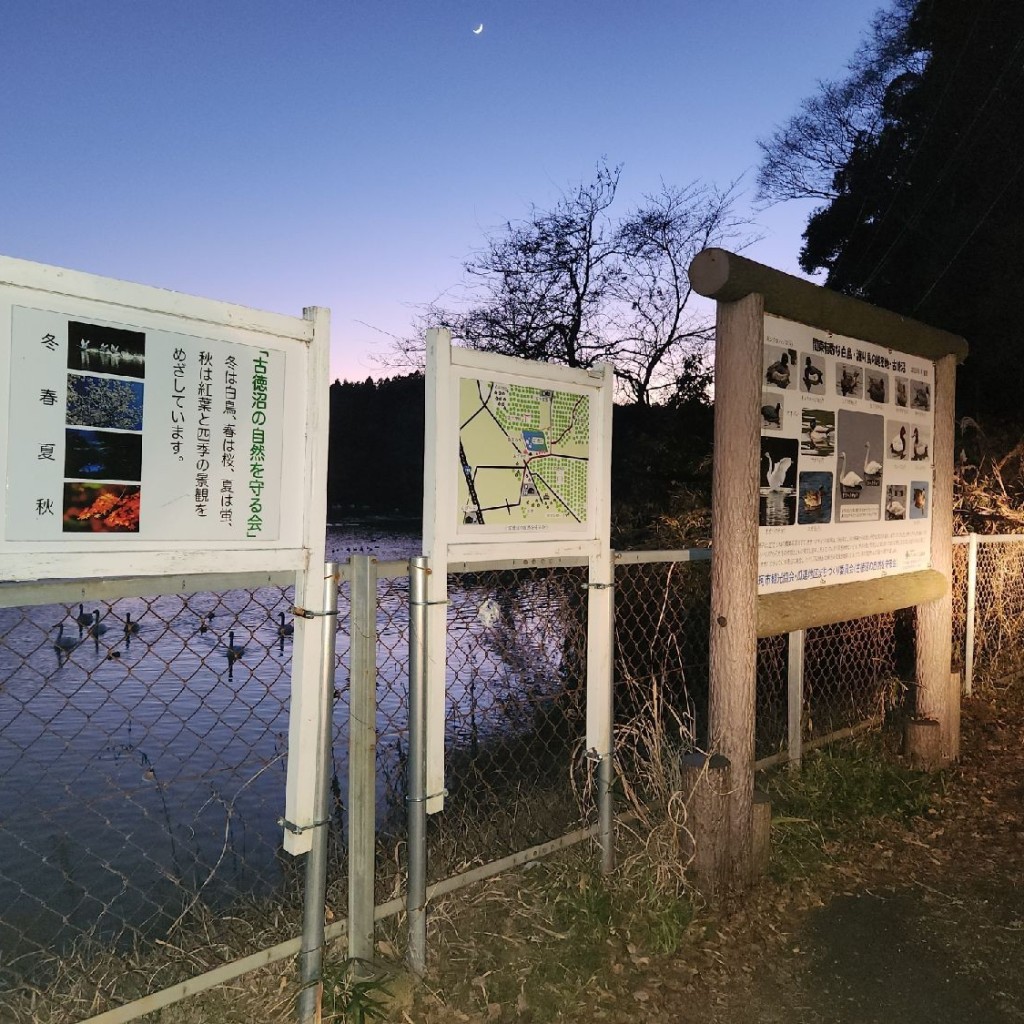 実際訪問したユーザーが直接撮影して投稿した古徳湖沼 / 池古徳沼の写真