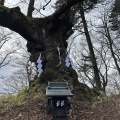 実際訪問したユーザーが直接撮影して投稿した峠町神社熊野皇大神社の写真