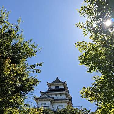 実際訪問したユーザーが直接撮影して投稿した掛川城 / 城跡掛川城公園の写真