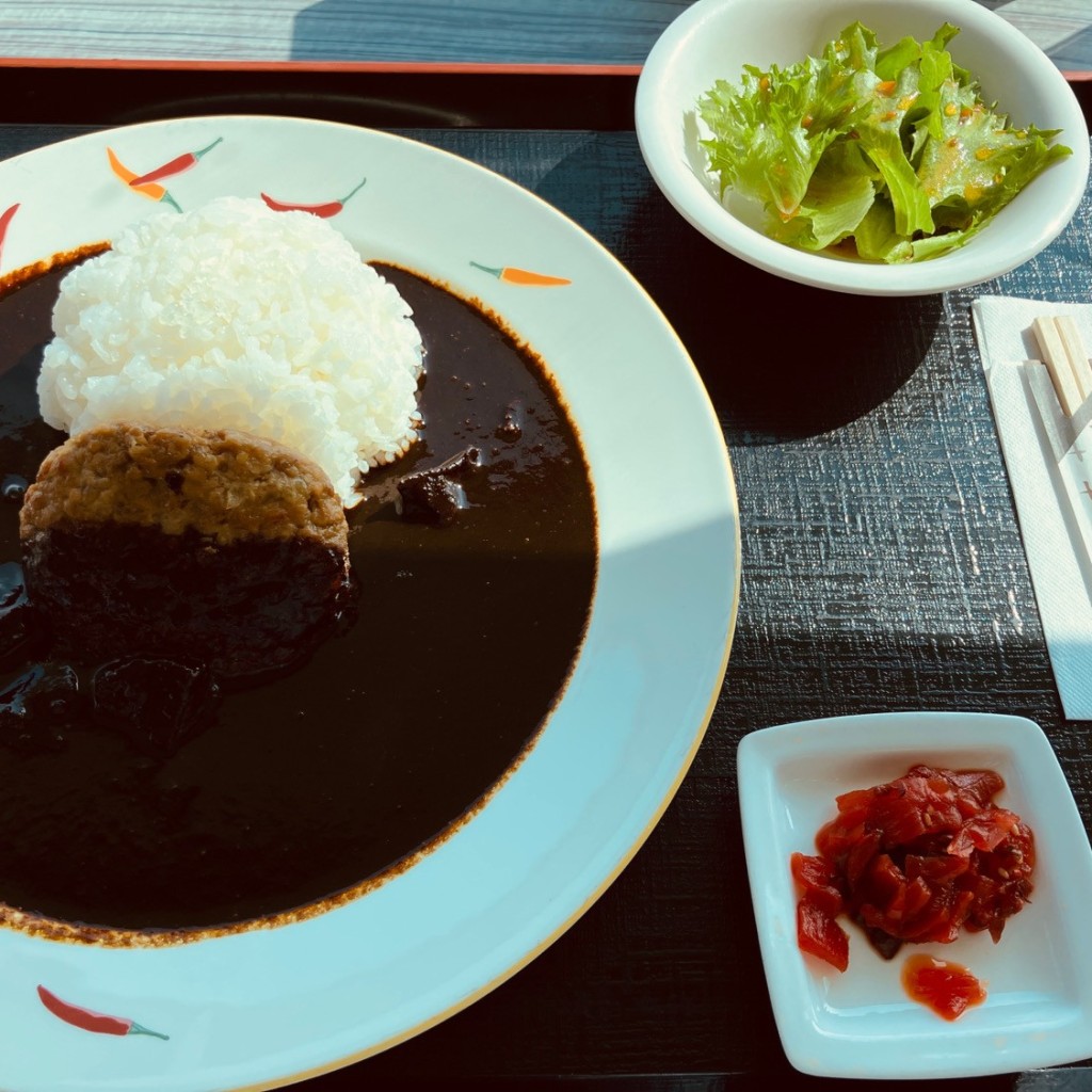 ユーザーが投稿した黒カレーの写真 - 実際訪問したユーザーが直接撮影して投稿した大垣定食屋アマ テラスの写真