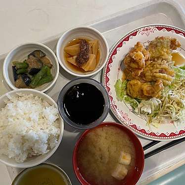 実際訪問したユーザーが直接撮影して投稿した中定食屋ひまわり食堂の写真