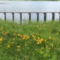 実際訪問したユーザーが直接撮影して投稿した湖沼 / 池雄国沼の写真