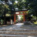 実際訪問したユーザーが直接撮影して投稿した旗の台神社旗岡八幡神社の写真