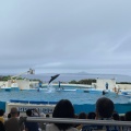 実際訪問したユーザーが直接撮影して投稿した石川水族館 / アクアリウムオキちゃん劇場の写真