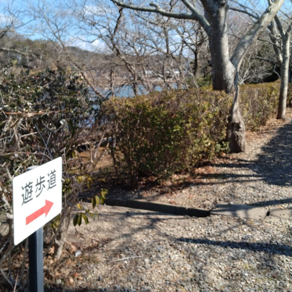 実際訪問したユーザーが直接撮影して投稿した河和公園美浜町民の森の写真