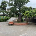 実際訪問したユーザーが直接撮影して投稿した自由が丘公園自由が丘公園の写真