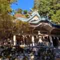 実際訪問したユーザーが直接撮影して投稿した玉置川神社玉置神社の写真