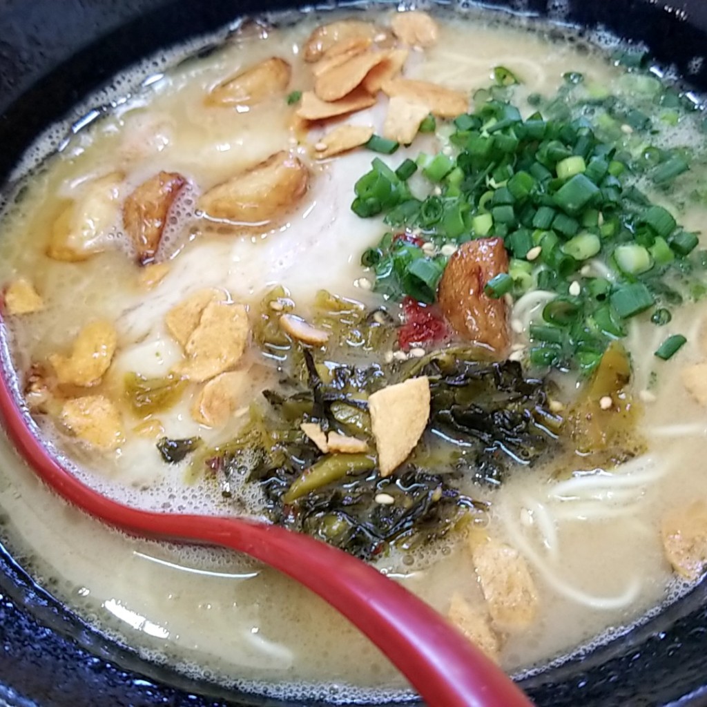 ユーザーが投稿した味噌ラーメンとニンニク味噌ラーメンの写真 - 実際訪問したユーザーが直接撮影して投稿した白鳥町向小駄良ラーメン / つけ麺郡上豚骨ラーメン カンミナ 白鳥店の写真