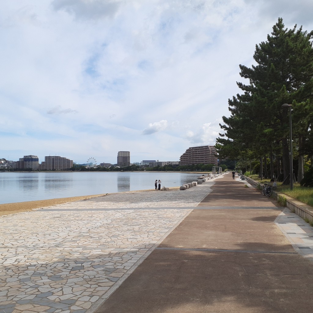 実際訪問したユーザーが直接撮影して投稿した御島崎公園香椎海岸遊歩道の写真