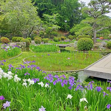 実際訪問したユーザーが直接撮影して投稿した横山公園城山花菖蒲園の写真