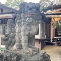 実際訪問したユーザーが直接撮影して投稿した弁天神社厳島神社の写真