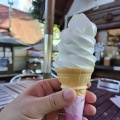 ソフトクリーム - 実際訪問したユーザーが直接撮影して投稿した上川上ベーカリー八木牧パークハウスの写真のメニュー情報