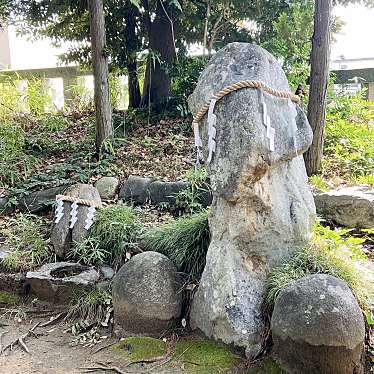 実際訪問したユーザーが直接撮影して投稿した一宮町一ノ宮神社浅間神社の写真