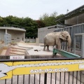 実際訪問したユーザーが直接撮影して投稿した欠町動物園岡崎市東公園 動物園の写真