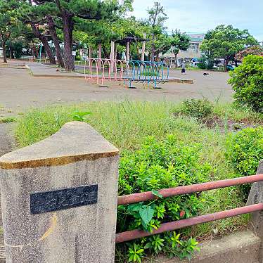 実際訪問したユーザーが直接撮影して投稿した代官町公園青柳児童公園の写真