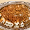 カツカレー - 実際訪問したユーザーが直接撮影して投稿した大町カレーカレーのちから 東店の写真のメニュー情報