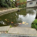 実際訪問したユーザーが直接撮影して投稿した二子町神社白山神社の写真