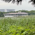 実際訪問したユーザーが直接撮影して投稿した秋津公園習志野市 谷津干潟自然観察センターの写真