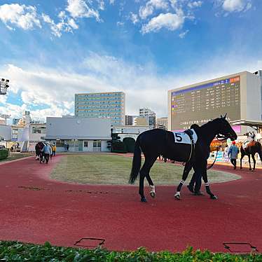 実際訪問したユーザーが直接撮影して投稿した富士見競馬場川崎競馬場の写真