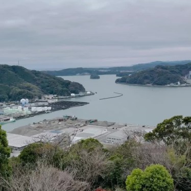 実際訪問したユーザーが直接撮影して投稿した吸江公園五台山公園の写真