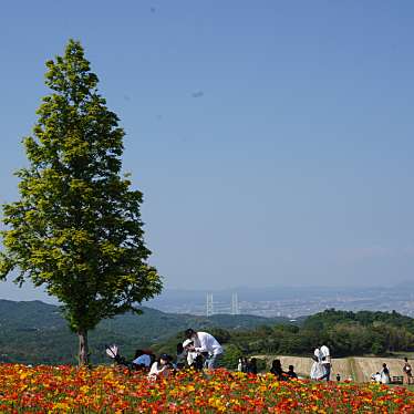 兵庫県立公園 あわじ花さじきのundefinedに実際訪問訪問したユーザーunknownさんが新しく投稿した新着口コミの写真