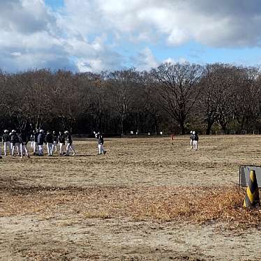 実際訪問したユーザーが直接撮影して投稿した祖父江町祖父江公園木曽三川公園の写真