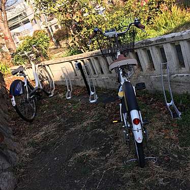 ぶどううり・くすこさんが投稿した大和田自転車レンタルのお店HELLO CYCLING 大和田北公園/ハローサイクリング オオワダキタコウエンの写真