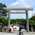 実際訪問したユーザーが直接撮影して投稿した宇治館町地域名所宇治橋の写真