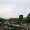 実際訪問したユーザーが直接撮影して投稿した太田公園一本松堤の写真